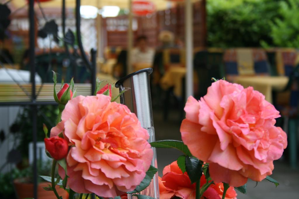 Hotel Restaurant Haus Odendahl Cologne Luaran gambar